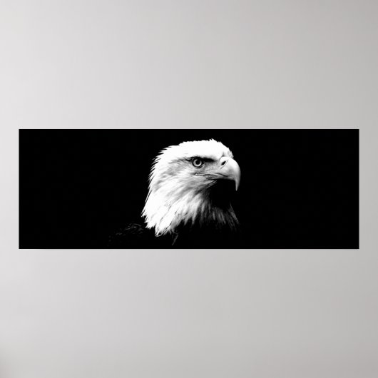 Panorama Bald Eagle American Eagle Poster Print (Vorne)