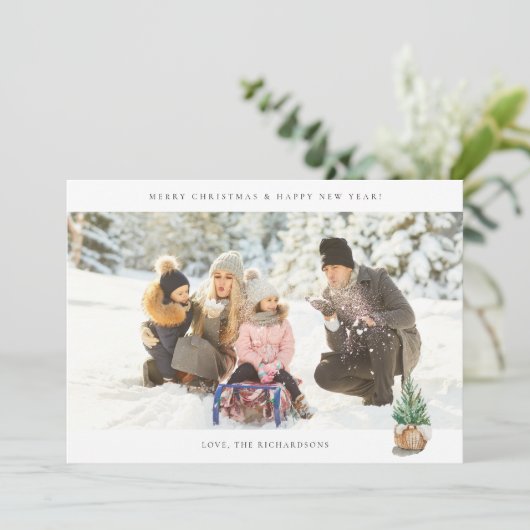 Panorama Chic H Foto - Winterbaum (Stehend Vorderseite)