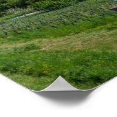 Panorama der historischen Altstadt von Bamberg, De Poster (Ecke)