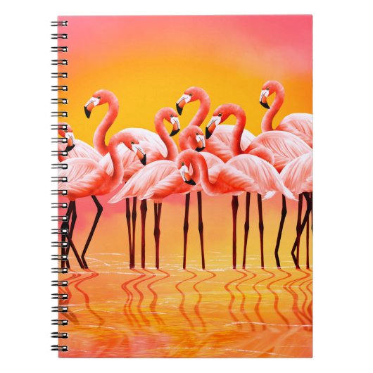 Panorama der rosa Flamingos auf einem hellrosa Hin Notizblock (Vorderseite)