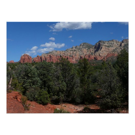Panorama der Roten Felsen in Sedona Arizona Poster (Vorderseite)