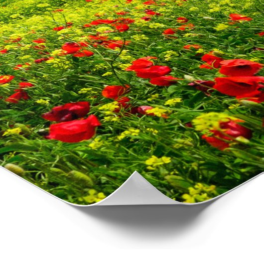 Panorama der toskanischen Landschaft Poster (Ecke)