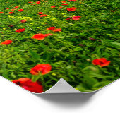 Panorama der toskanischen Landschaft Poster (Ecke)