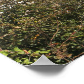 Panorama des Hafens von Tenby Poster (Ecke)