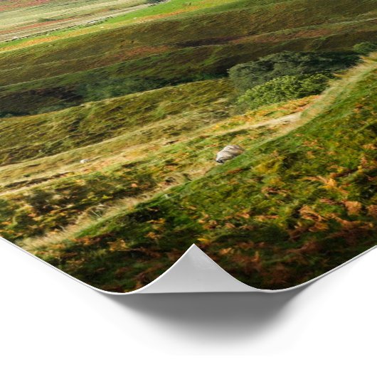 Panorama des schottischen Highlands Poster (Ecke)