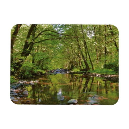 Panorama des Wilson River Magnet (Horizontal)