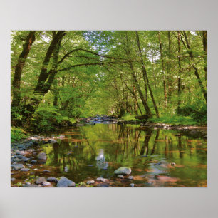 Panorama des Wilson River Poster