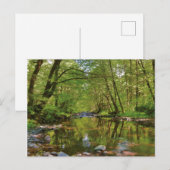 Panorama des Wilson River Postkarte (Vorne/Hinten)
