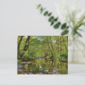Panorama des Wilson River Postkarte (Stehend Vorderseite)
