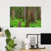 Panorama eines Urwaldes Poster (Heimbüro)