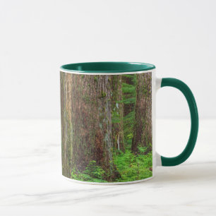 Panorama eines Urwaldes Tasse