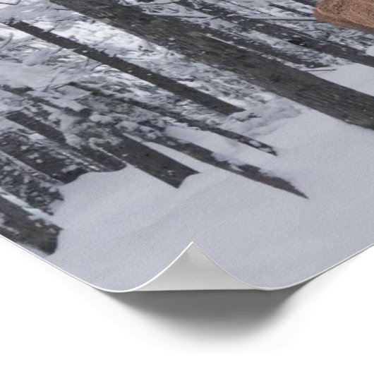 Panorama Poster (Ecke)