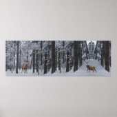 Panorama Poster (Vorne)