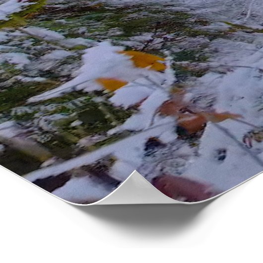 Panorama Poster (Ecke)