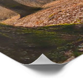 Panorama Poster (Ecke)