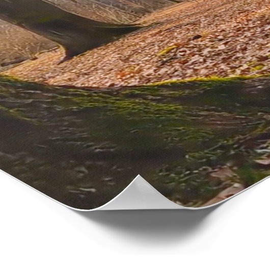 Panorama Poster (Ecke)