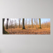 Panorama Poster (Vorne)