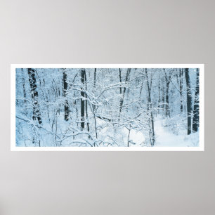Panorama-Winterlandschaft Poster