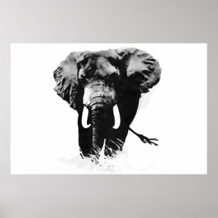 Panoramaausdruck für die B&W Elephant Posters Poster