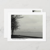 Panoramablick auf den Plattensee Postkarte (Vorne/Hinten)