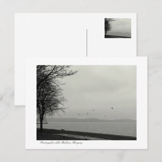 Panoramablick auf den Plattensee Postkarte (Vorne/Hinten)