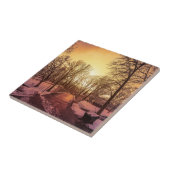 Panoramablick auf den verschneiten Park bei Sonnen Fliese (Seite)