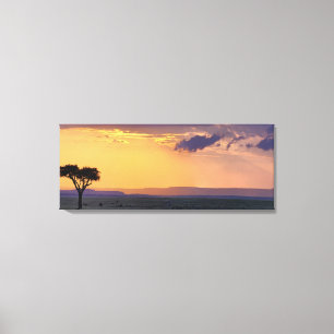 Panoramablick auf einen einzelnen Akazienbaum bei Leinwanddruck