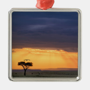 Panoramablick auf Geier und Akazienbaum Ornament Aus Metall