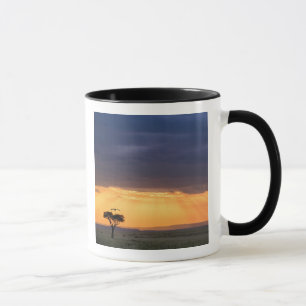 Panoramablick auf Geier und Akazienbaum Tasse