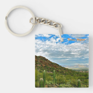 Panoramablick auf Tucson Arizona Schlüsselanhänger