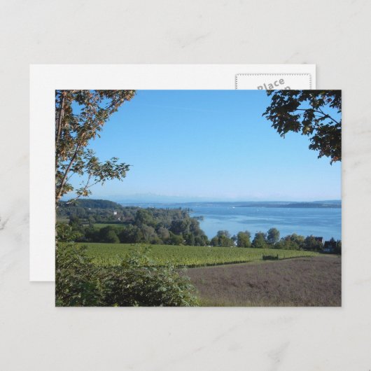 Panoramasicht auf den Bodensee Postkarte (Vorne/Hinten)