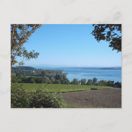 Panoramasicht auf den Bodensee Postkarte (Vorderseite)