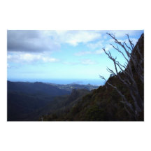 Panoramasicht auf den Park Coromandel Forest