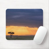 Panoramasicht auf den Vulture- und Akazienbaum Mousepad (Mit Mouse)