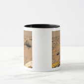 Panoramasicht auf die Mars 5 Tasse (Zentrum)