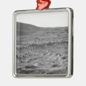 Panoramasicht auf die Mars 6 Silbernes Ornament (Links)