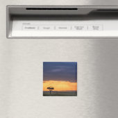 Panoramasicht auf Vulture und Akazienbaum Magnet (In Situ (Geschirrspüler))