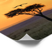 Panoramasicht auf Vulture und Akazienbaum Poster (Ecke)