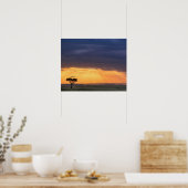 Panoramasicht auf Vulture und Akazienbaum Poster (Küche)