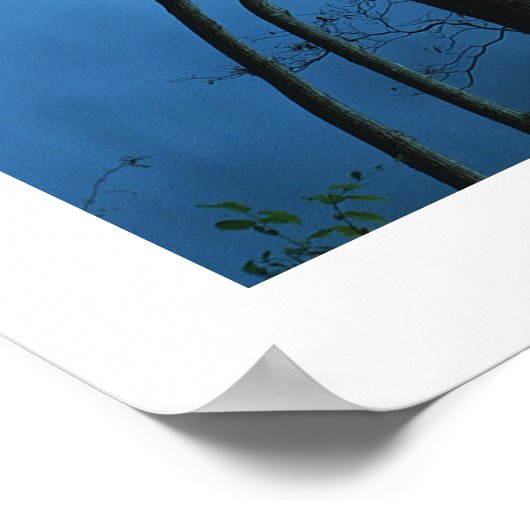 Panoramawald & Flusslandschaft Poster (Ecke)