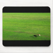 Panoramaweide Mousepad (Vorne)