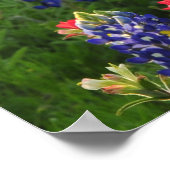 Panoramawelt Poster (Ecke)