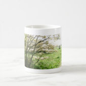 Panoramische Blüte sehen Abflussrinne-Tasse Kaffeetasse (Mittel)