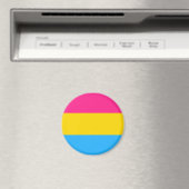Pansexual Flag Magnet (In Situ (Geschirrspüler))