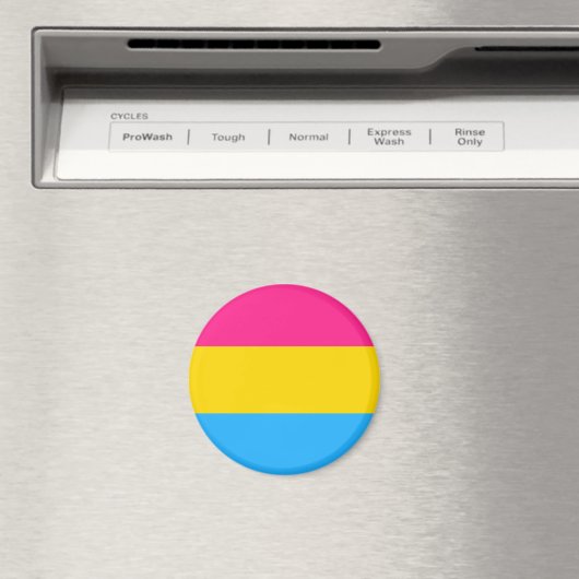 Pansexual Flag Magnet (In Situ (Geschirrspüler))
