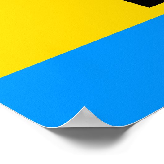 Pansexual Flag Poster (Ecke)