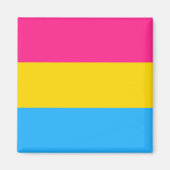 Pansexual Flag & Pride Community/Geschlechterflagg Magnet (Vorne)