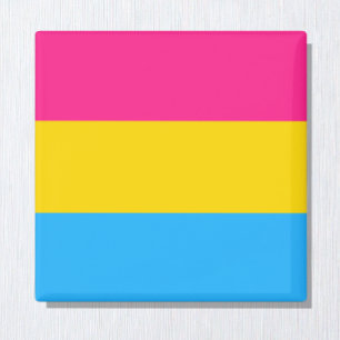 Pansexual Flag & Pride Community/Geschlechterflagg Magnet