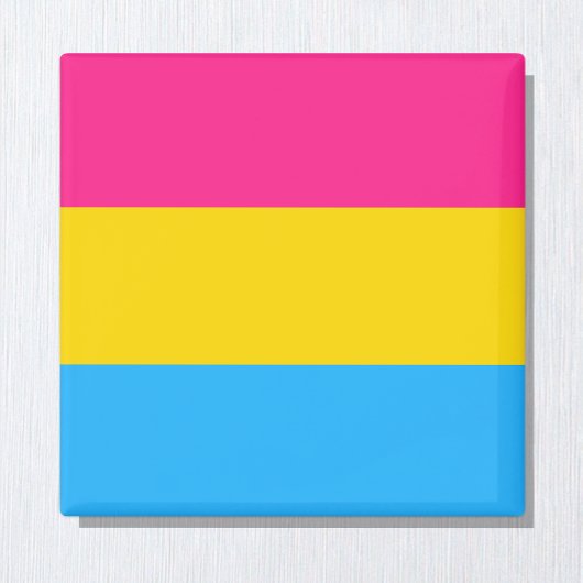Pansexual Flag & Pride Community/Geschlechterflagg Magnet