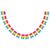 Pansexual Flag & Pride Community/Geschlechterflagg Wimpelkette (Alle)